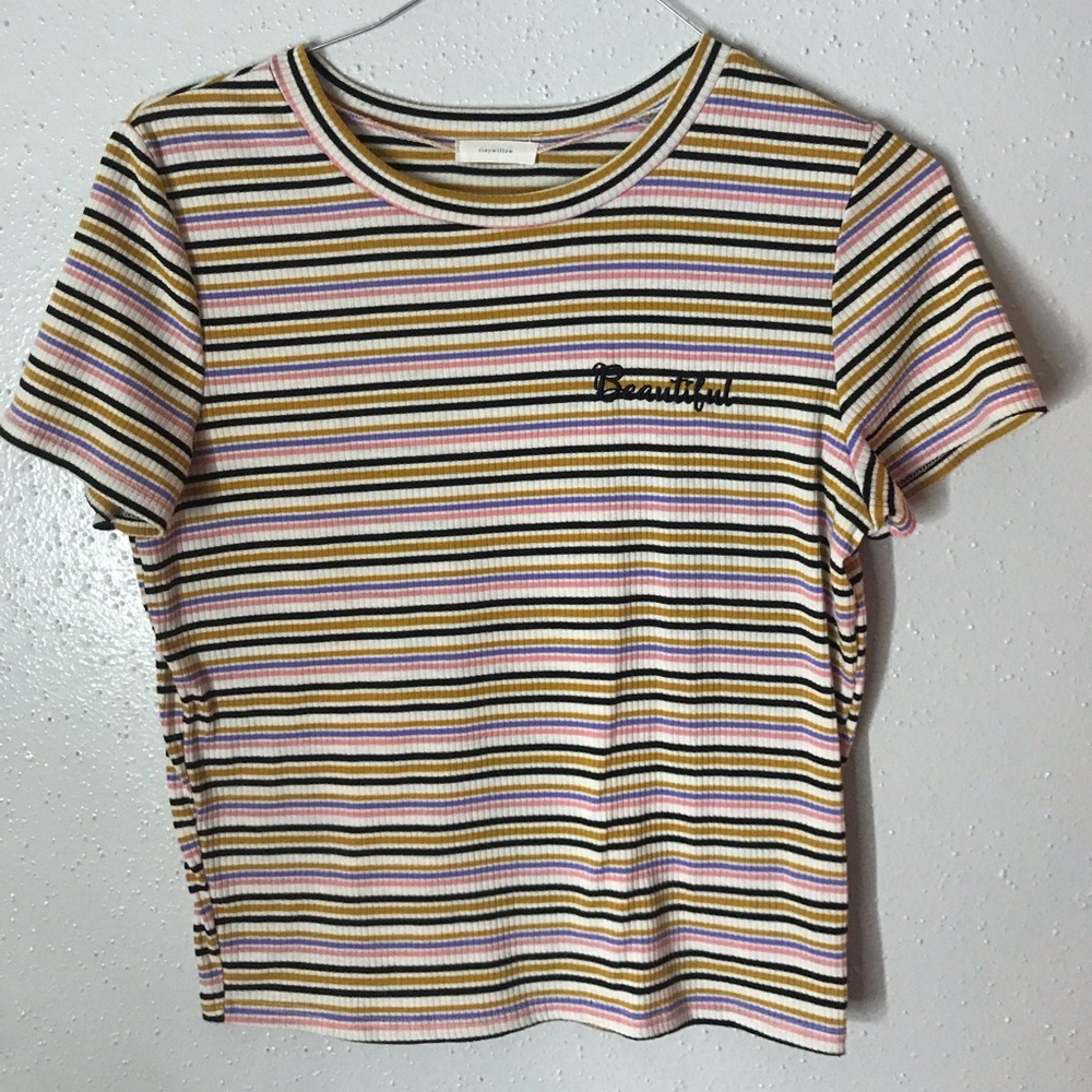 Stripped Embroidered Crop Top